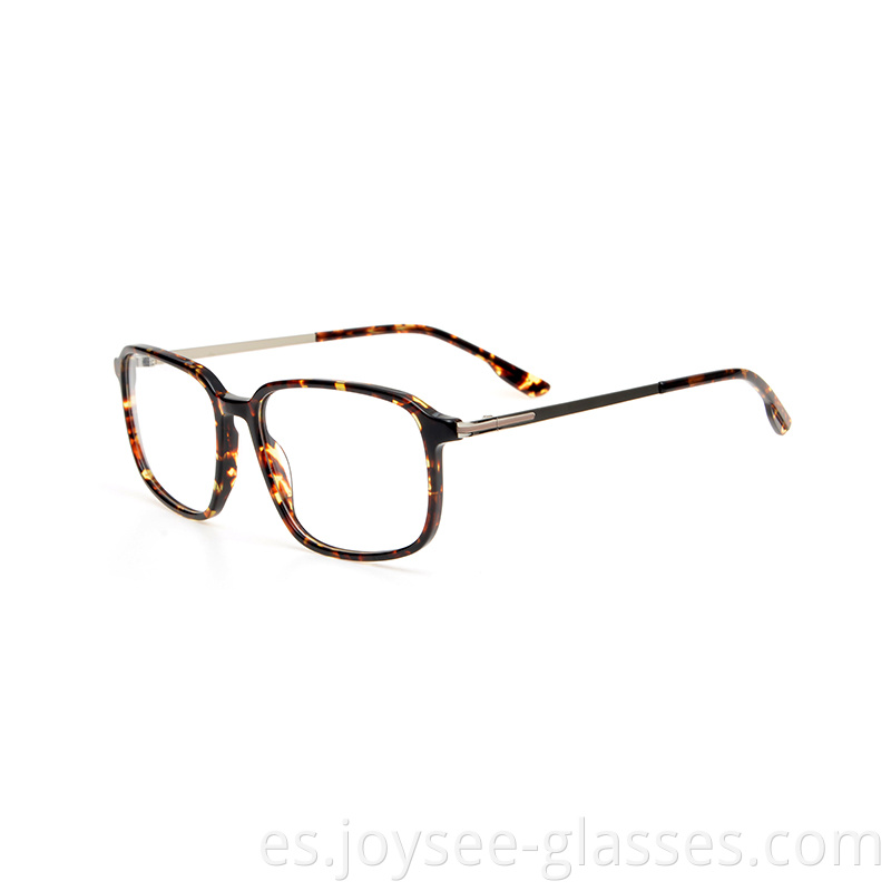 Trendy Eyeglasses Frames 5